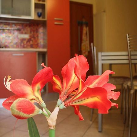 Pisa Town Ngoại thất bức ảnh